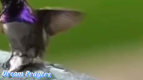 Fome e Sede de Justiça...