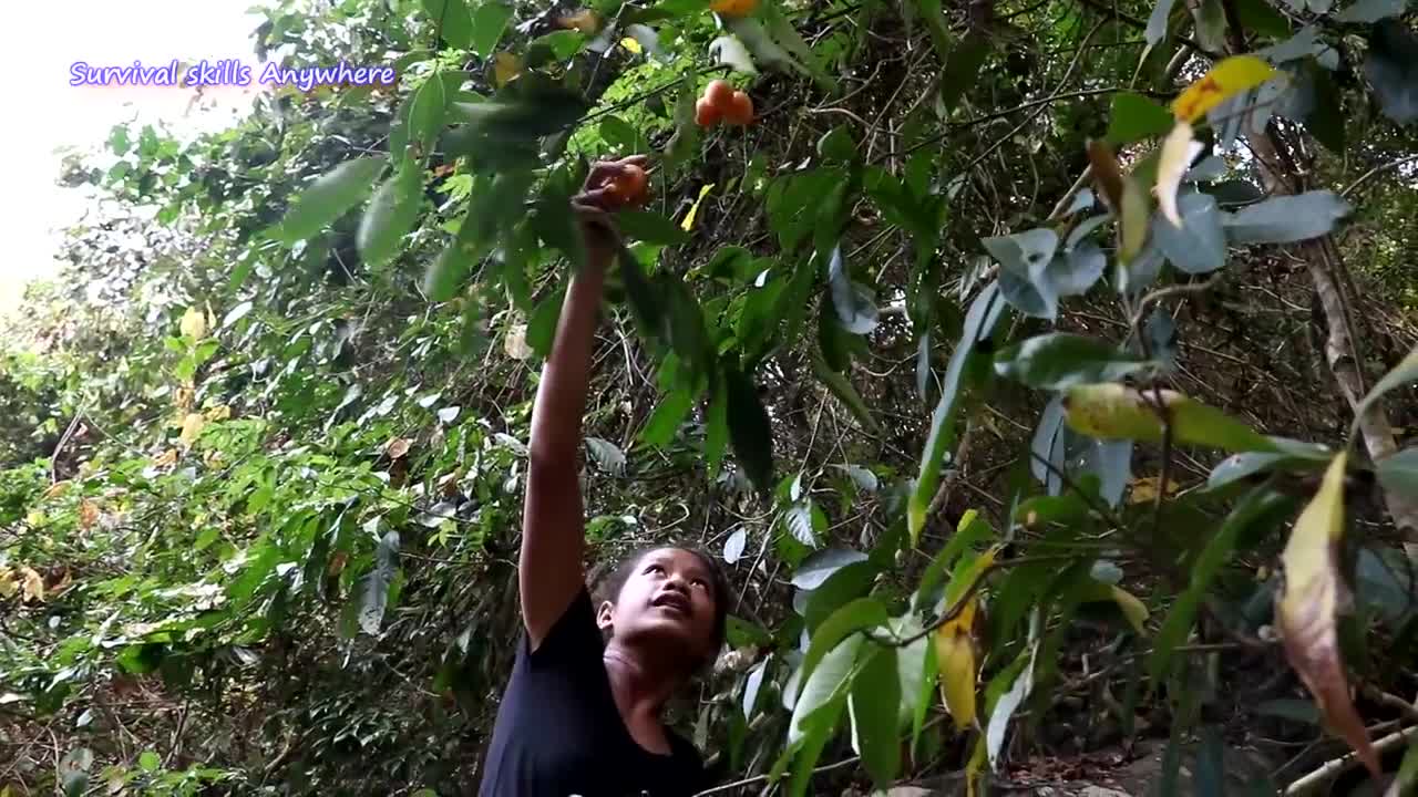 Find meet Small Yellow Mango Sweet Nature for Food forest and Eating delicious Ep 82