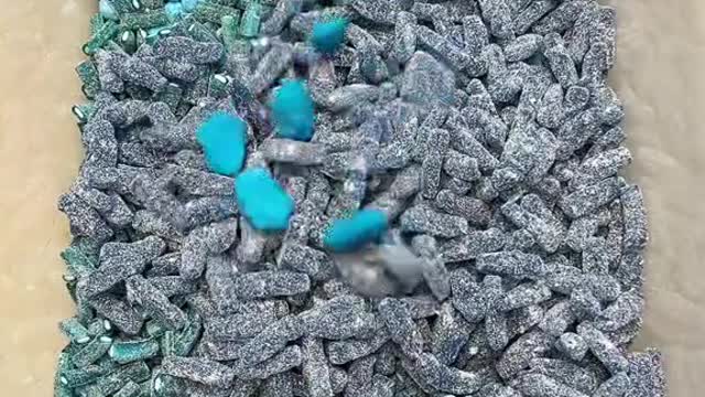 They walked through the garden and onto the road.