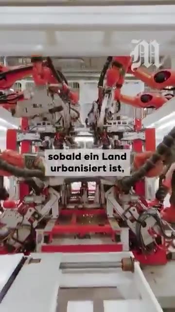 Musk gegen den Bevölkerungsaustausch