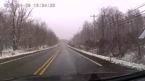 Suicidal Deer Barrel Rolls