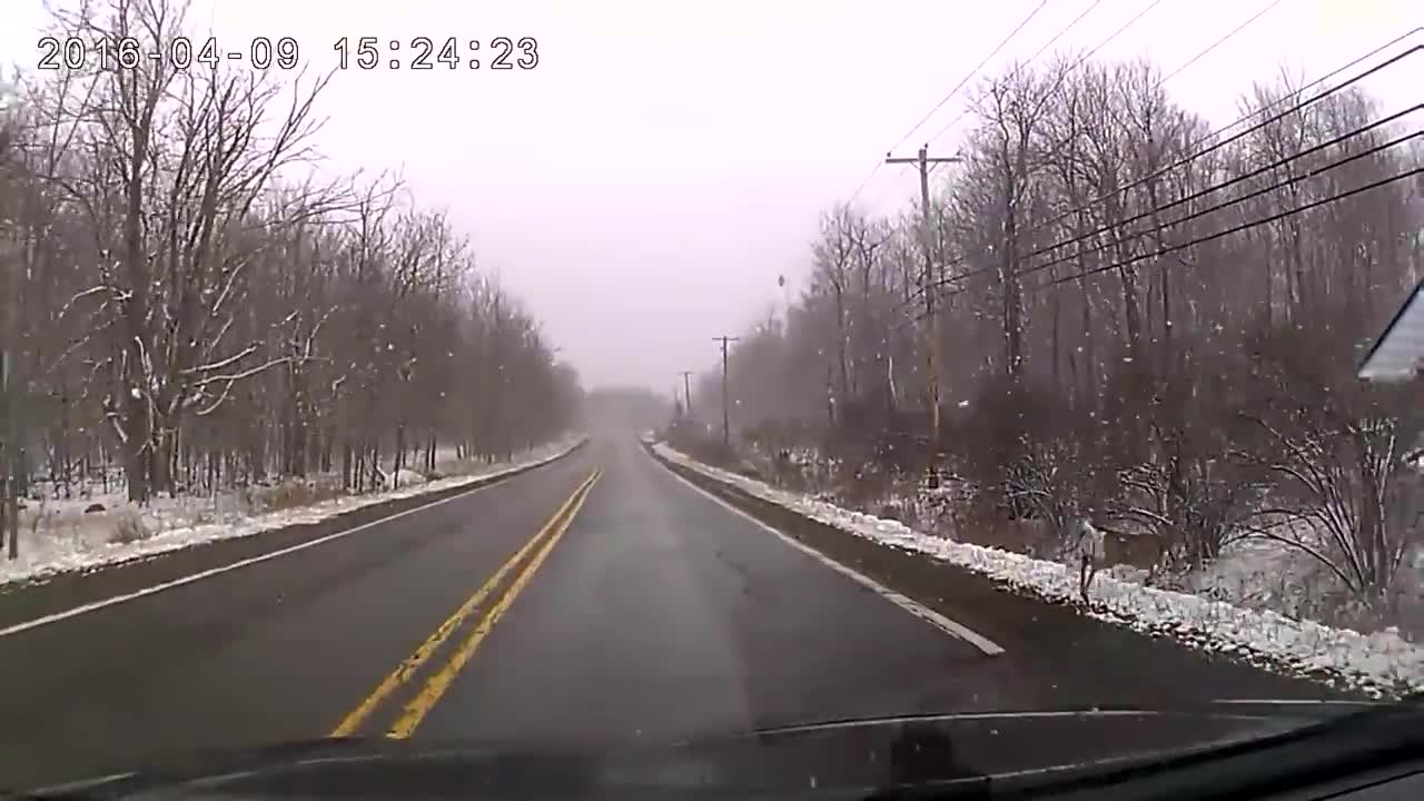 Suicidal Deer Barrel Rolls