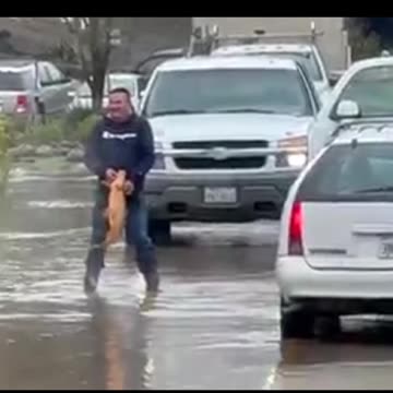 How to catch a fish!