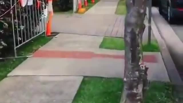 Wtf is going on in Australia?