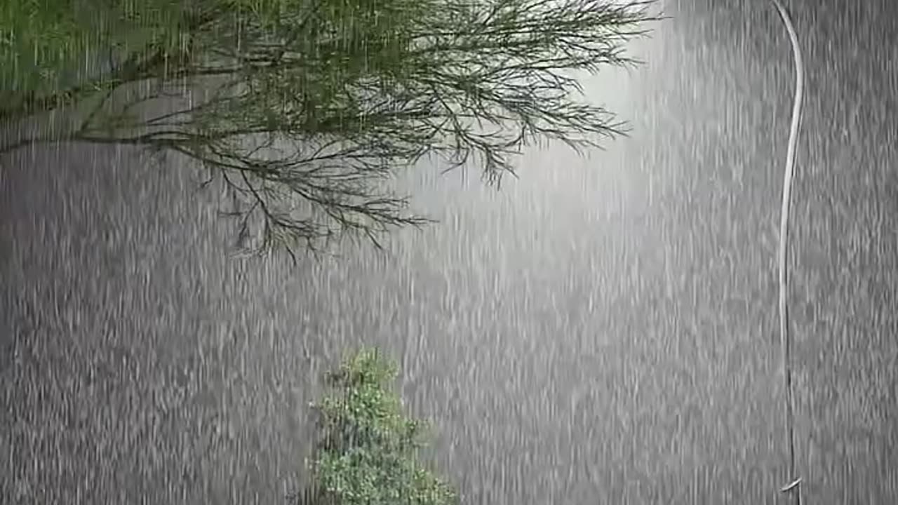 Feel the rain 🌧️ most Beautiful 😍 natural seen 💖