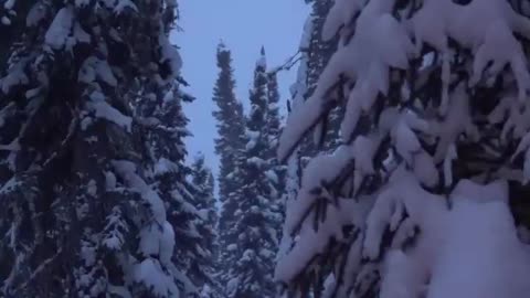 Winter Survival Shelter_Sleeping Outside in -25