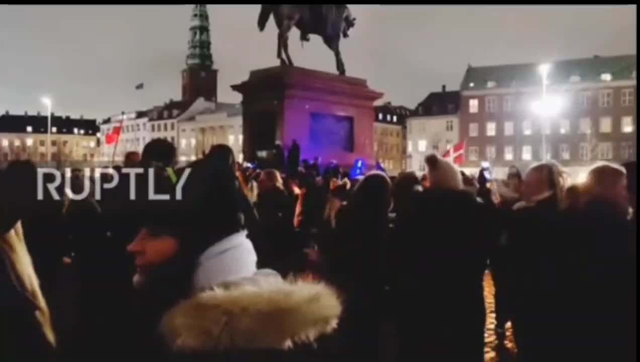 🇩🇰 ✊ The Denmark Revolution NOW!