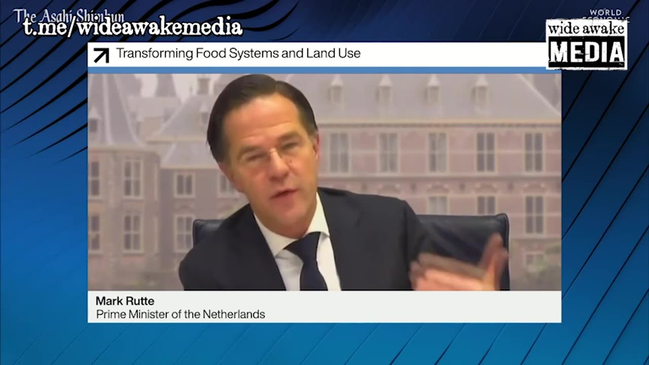 Netherlands Prime Minister Rutte - WEF puppet 1 min 3 sec