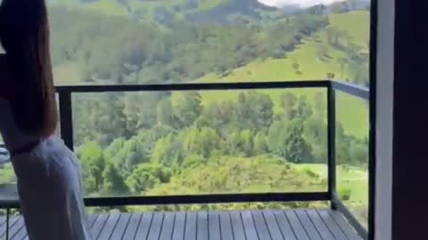 view from the window 😍