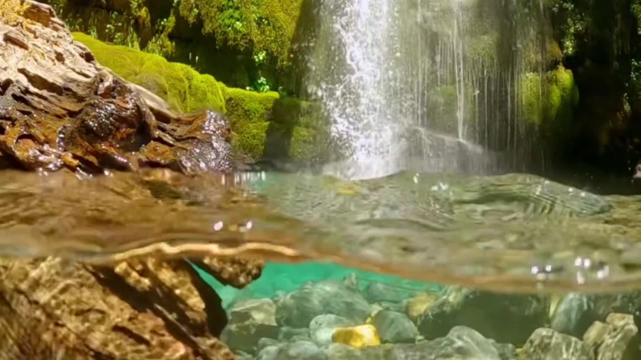 The water was SO clear here