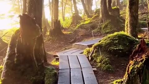 Walk through a storm