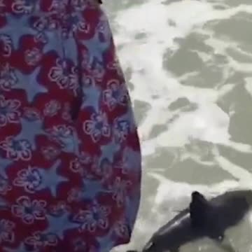 That little girl’s face at the end is priceless🤣