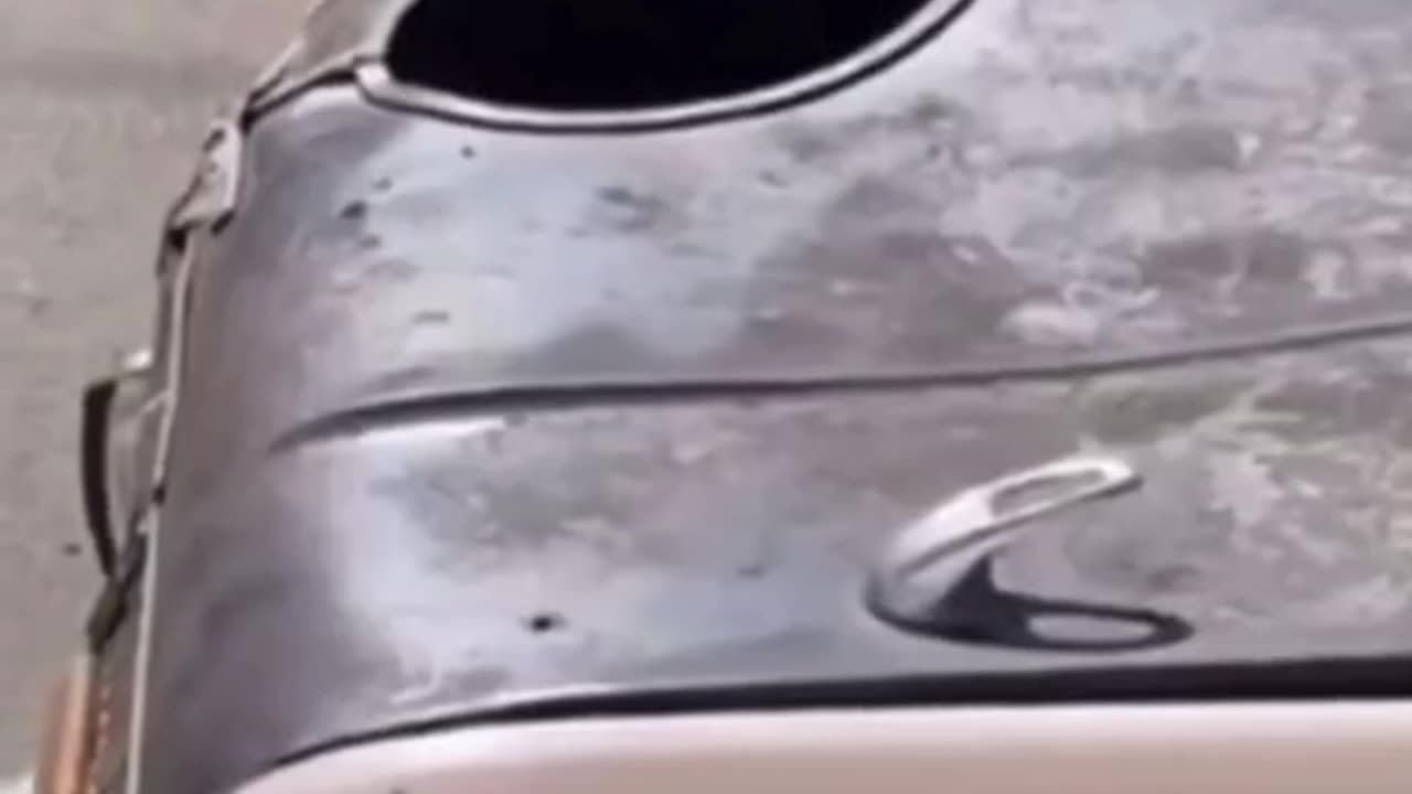 Funny dog inside car