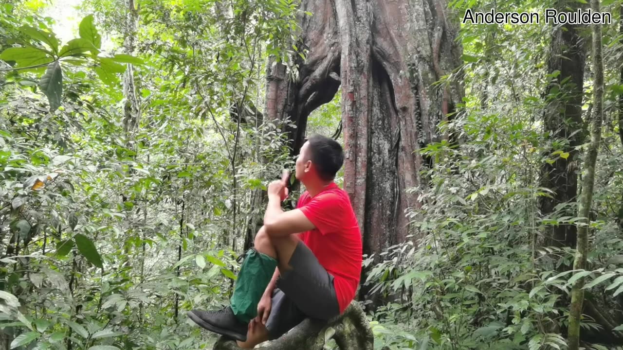 MOUNT LEUSER NATIONAL PARK