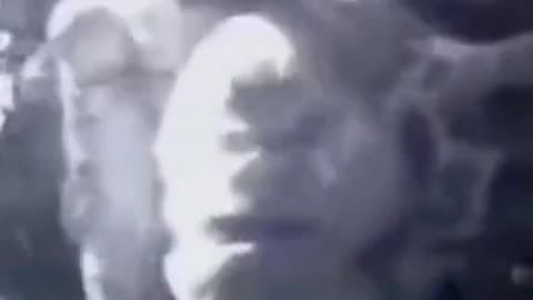 Do you believe that man really got up the moon?