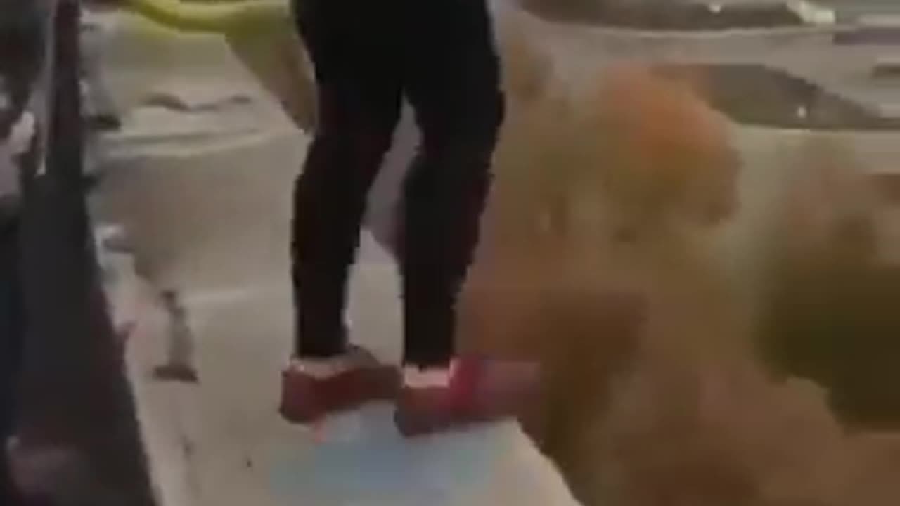 Third World Country Bungie Jumping