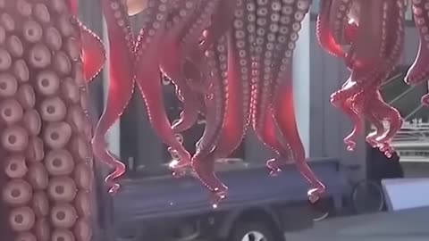 Did You Know South Korea Loves Octopus_(1)