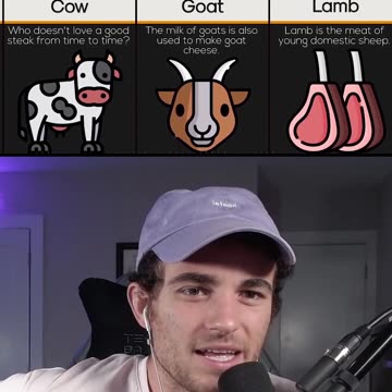 HOW MANY ANIMALS WE EAT PER YEAR!