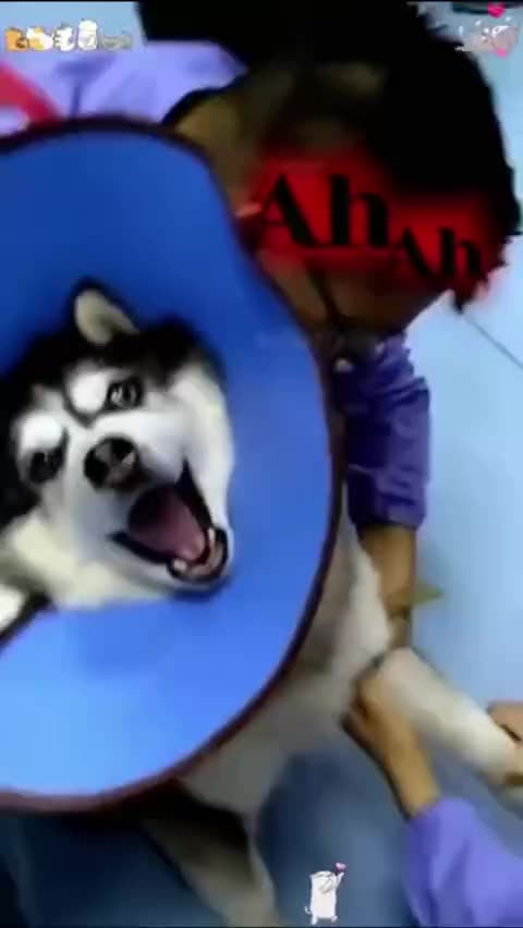 Everyone hates the needle 🤣🤣