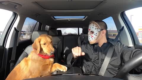 Jason Surprises Puppy With Car Ride to McDonalds!