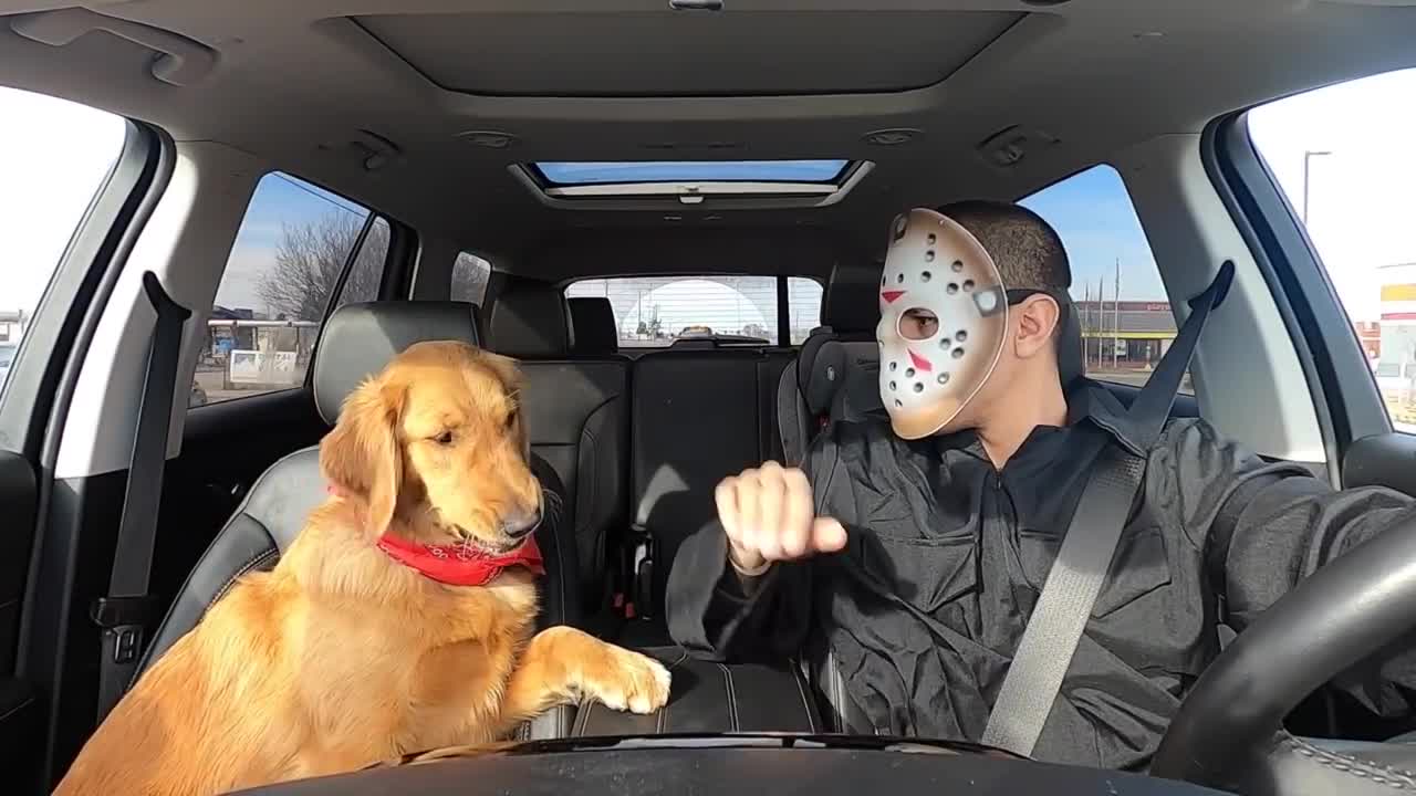 Jason Surprises Puppy With Car Ride to McDonalds!
