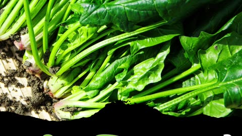 Benefits of Green Vegetables