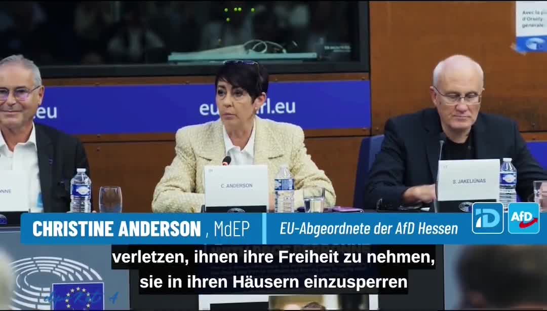 Christine Anderson MEP European Parliament￼