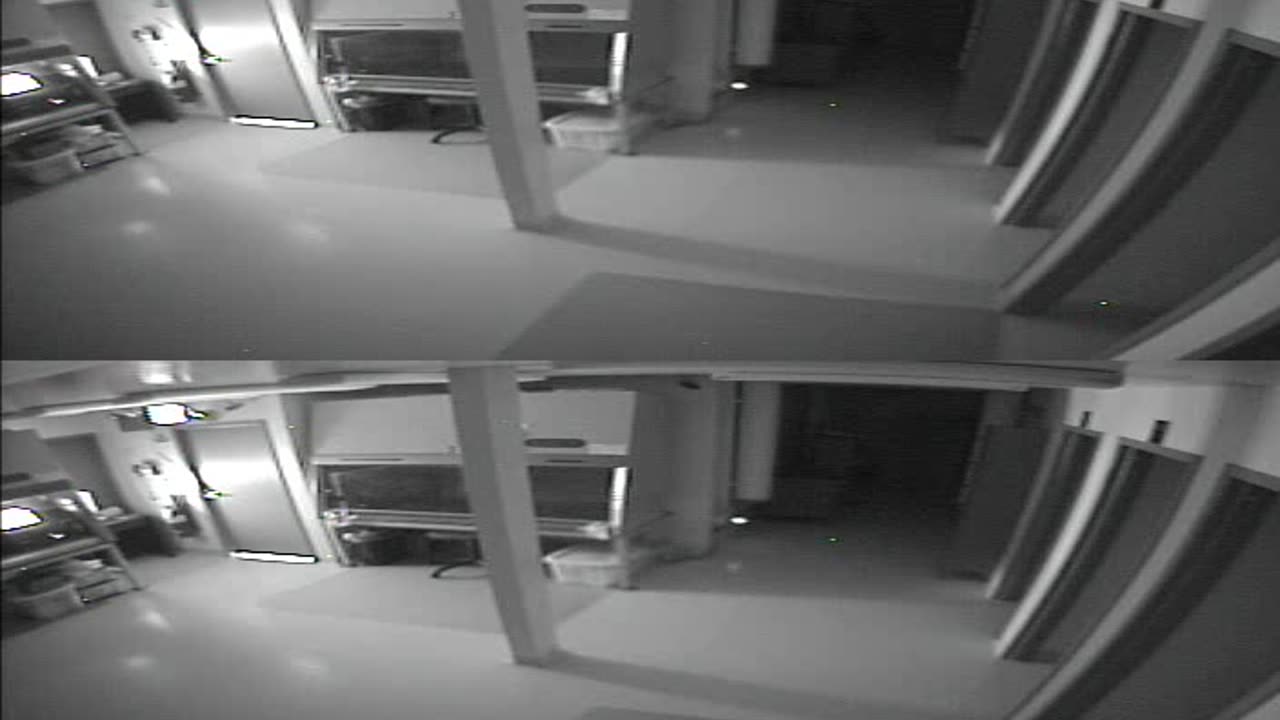 1702CRIB01CribAnalysisArea_2021-01-06_00h40min01s383ms.mp4