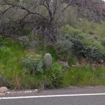 Canyon Lake and the beautiful drive to Tortilla Flats March 20, 2023 AZ