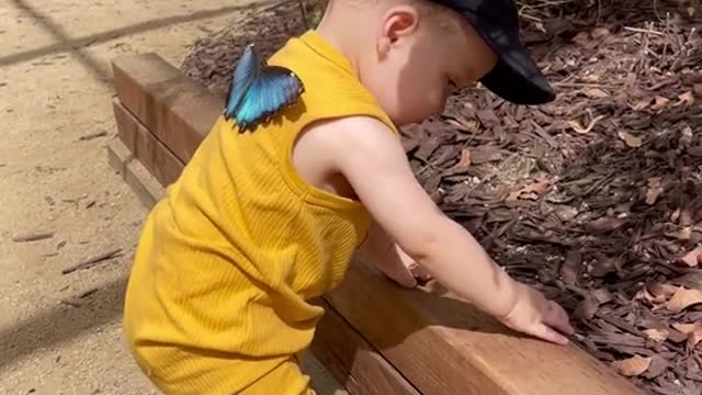 @kali.may.murguia:That little baby was blessed by the gardens 🥰💙🦋