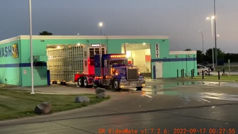 Clean up, then take the cattle to the truck driver. First view, one person, one car, one world