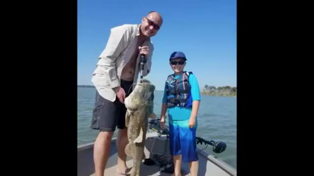 Family Rescues Turtle From Mouth Of Giant Catfish