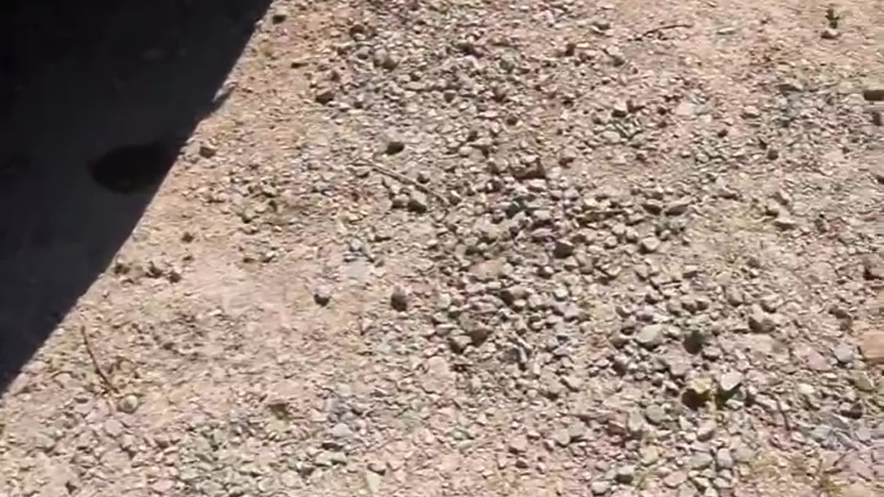 NASCAR