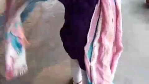 Cute Little Girl is Narrating Beautiful Story