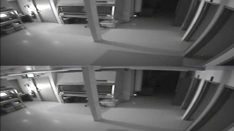 1702CRIB01CribAnalysisArea_2021-01-05_05h40min00s370ms.mp4