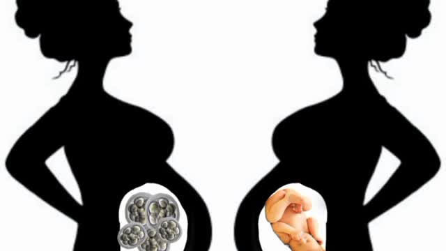 Pregnancy and Abortion: A Comprehensive Guide for a PostRoe World