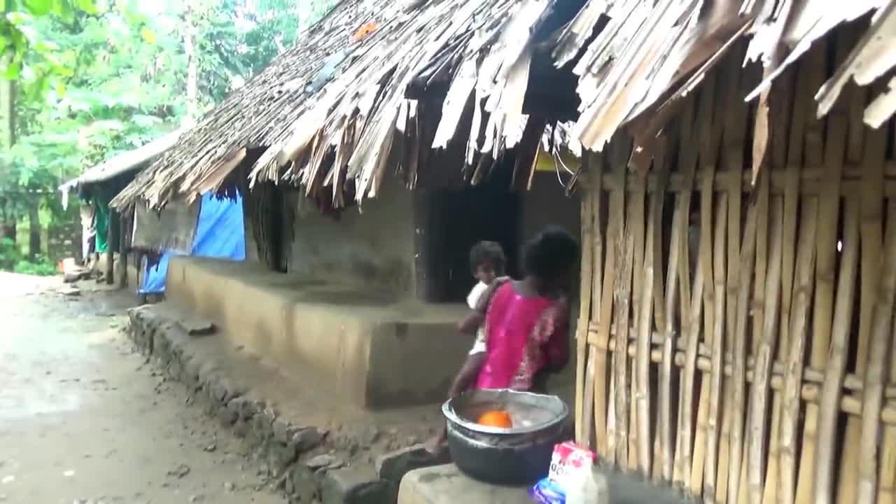 Traditional Indian village - Kerala village - coconut