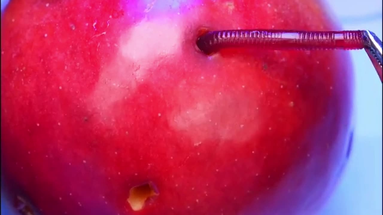 worms remove inside stuck in apple//one follow please