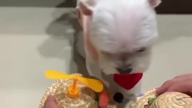 That smile at the end is just cuteš„°