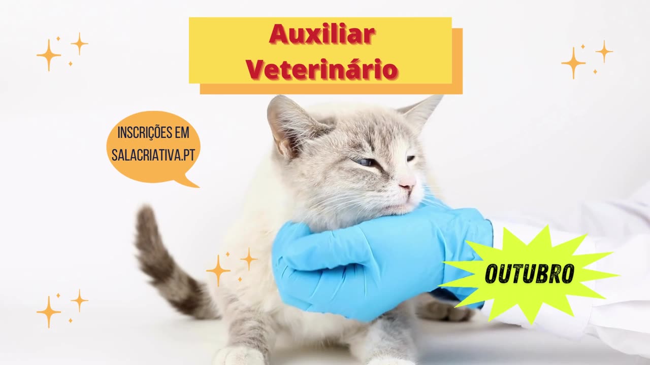 AUXILIAR VETERINÁRIO