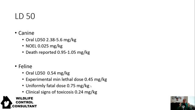 Bromethalin rodenticide and pet safety