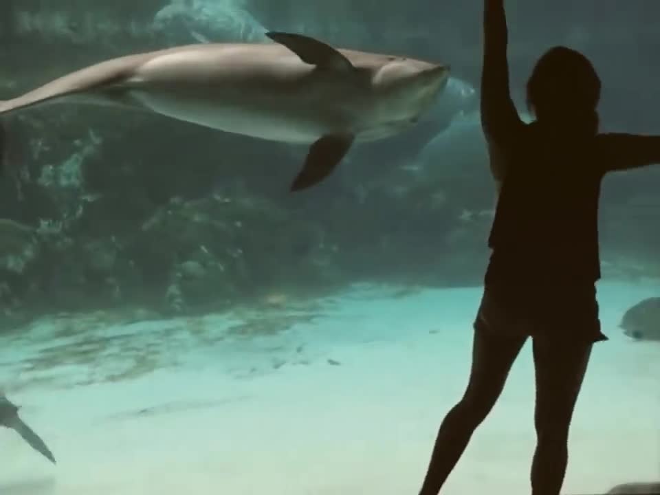 A girl dances in front of the dolphins and makes them laugh