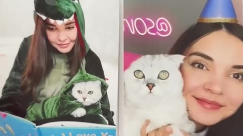cat in Angry mood