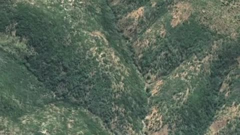 NASA Satellite Data is Helping Conserve 🐒🐵