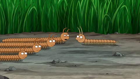 Millipedes and Centipedes