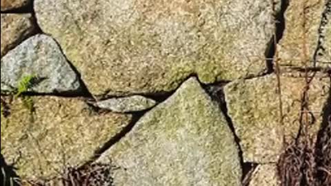 Polygonal Masonry Discovered In The UK