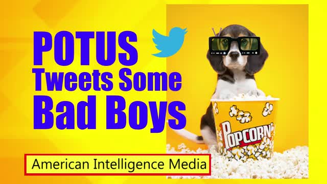 Trump tweets some bad boys