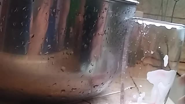 FOOD COLORING SCIENCE