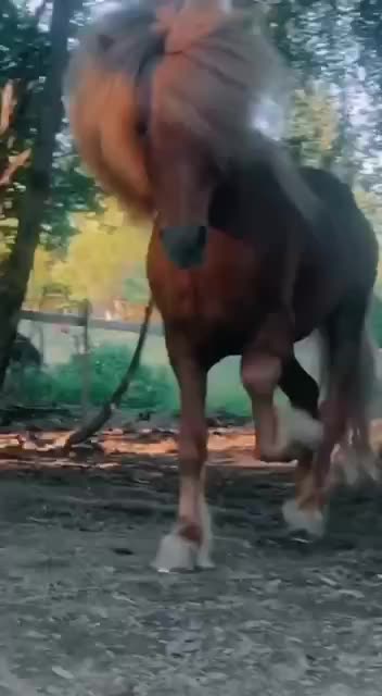 I used to have a mullet like that 🤣