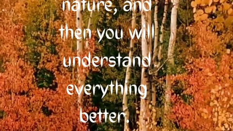 What did Albert Einstein Think about Nature || Quotes of Albert Einstein...